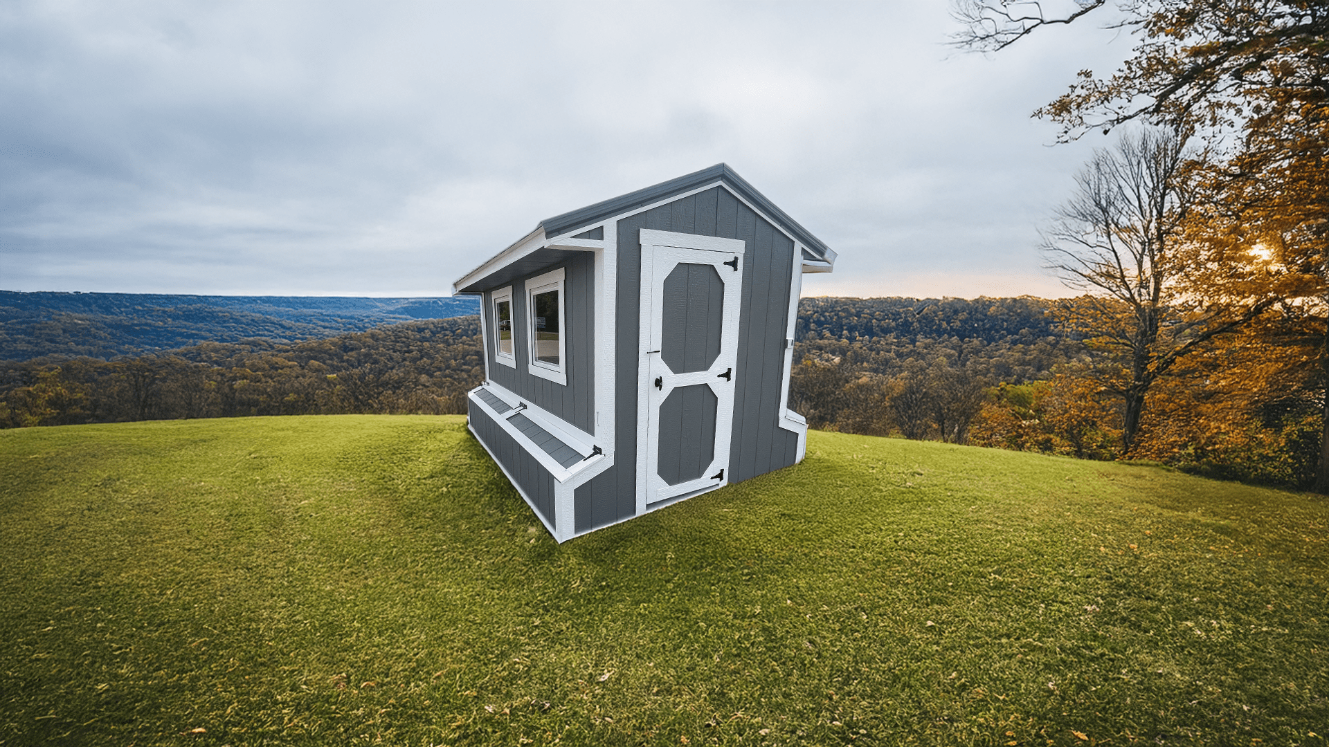 Chicken coop 6